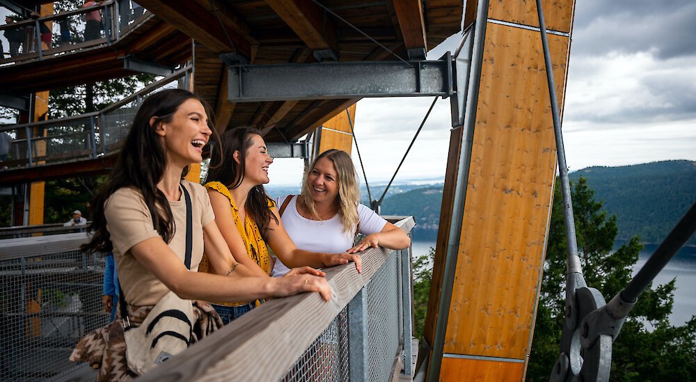 Seize the Summer at Malahat SkyWalk